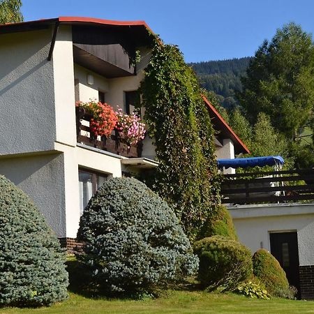 Apartman Braun Rokytnice nad Jizerou Ruang foto