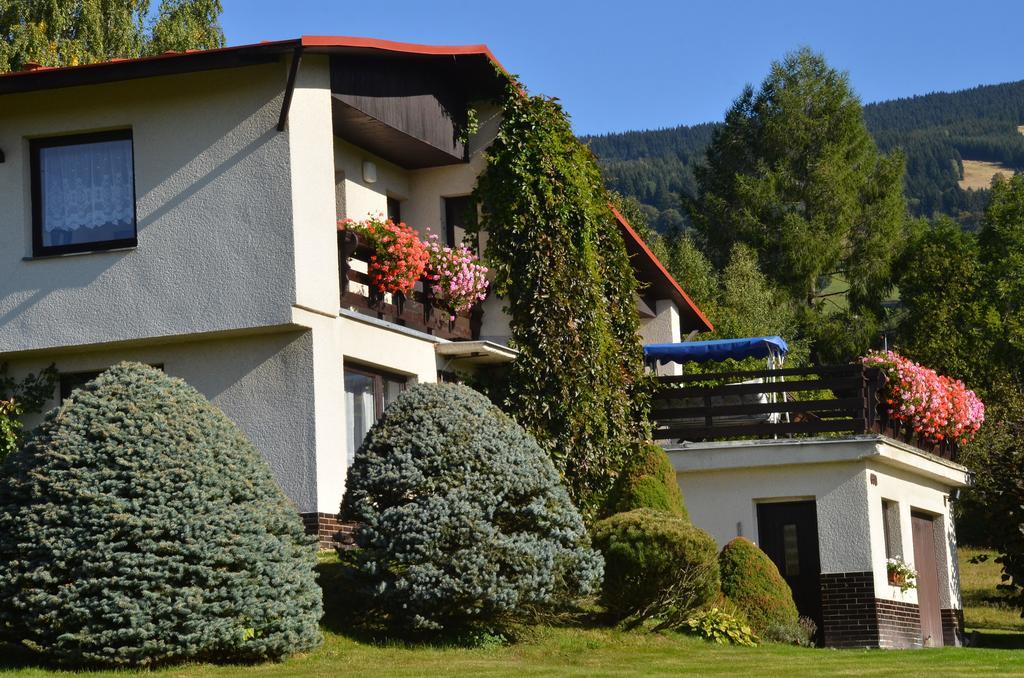 Apartman Braun Rokytnice nad Jizerou Ruang foto