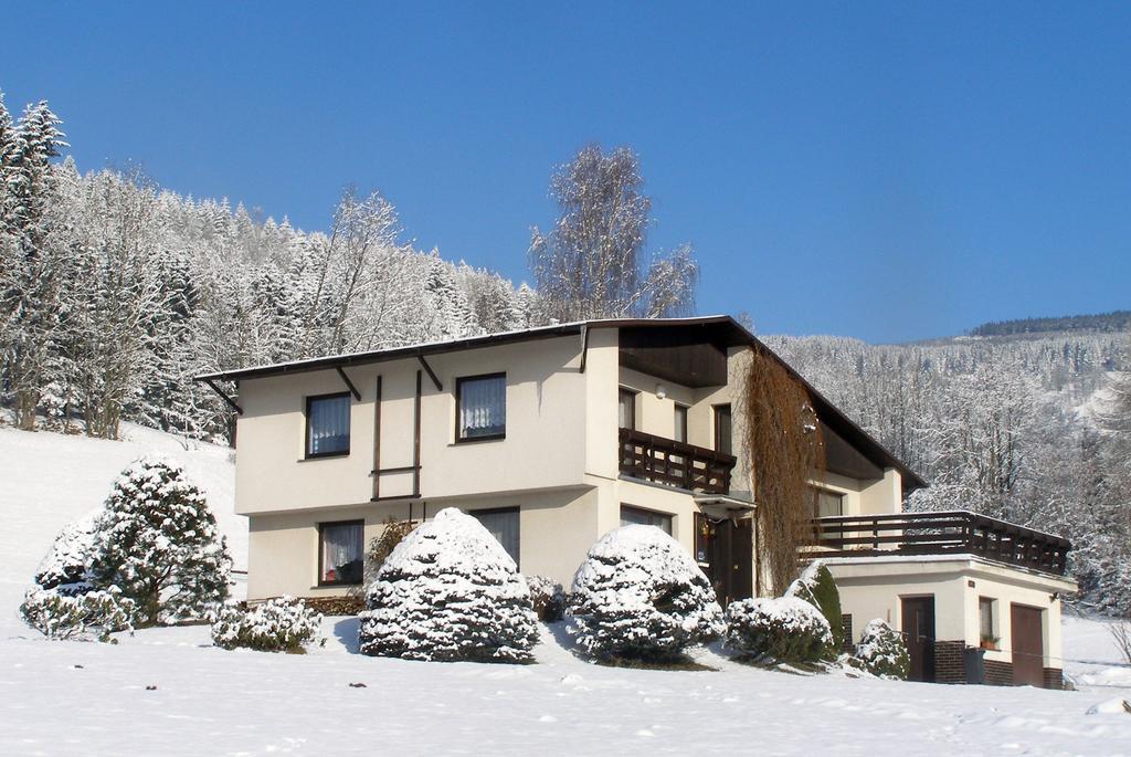Apartman Braun Rokytnice nad Jizerou Ruang foto