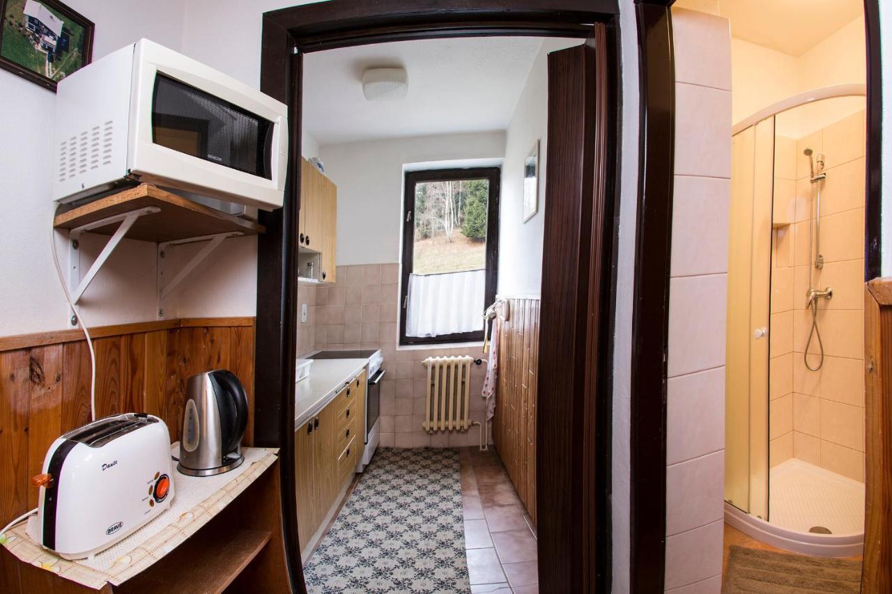 Apartman Braun Rokytnice nad Jizerou Bagian luar foto