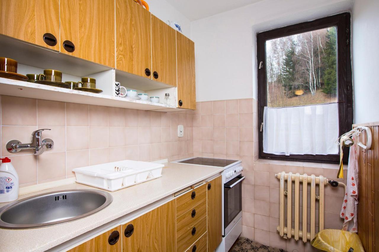 Apartman Braun Rokytnice nad Jizerou Bagian luar foto